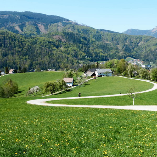 Sepp Larch Panoramaweg
