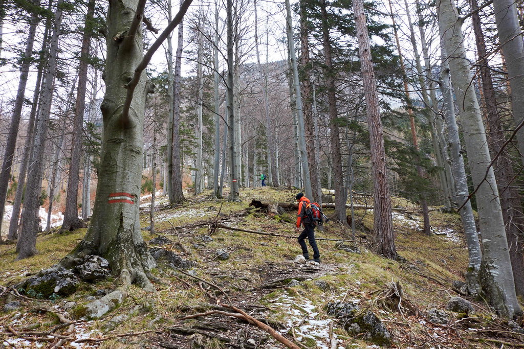 Ist der Anstieg durch den Wald zu Beginn nur steil, aber schneefrei...