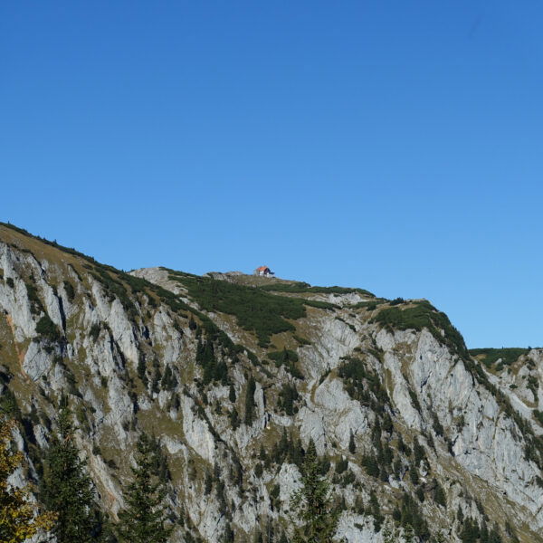 Schneealpenhaus