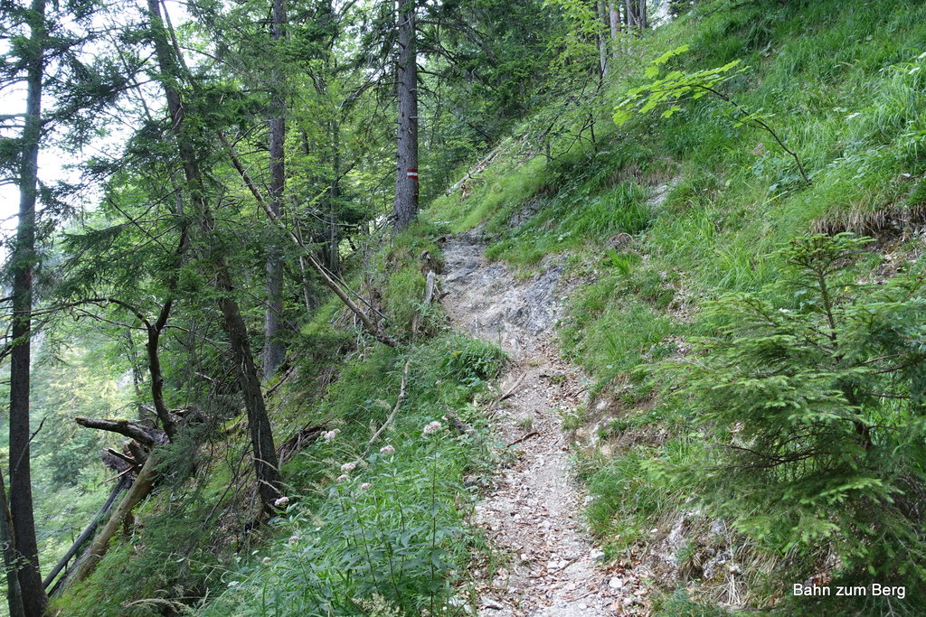 Aufstieg durch den Höllgraben