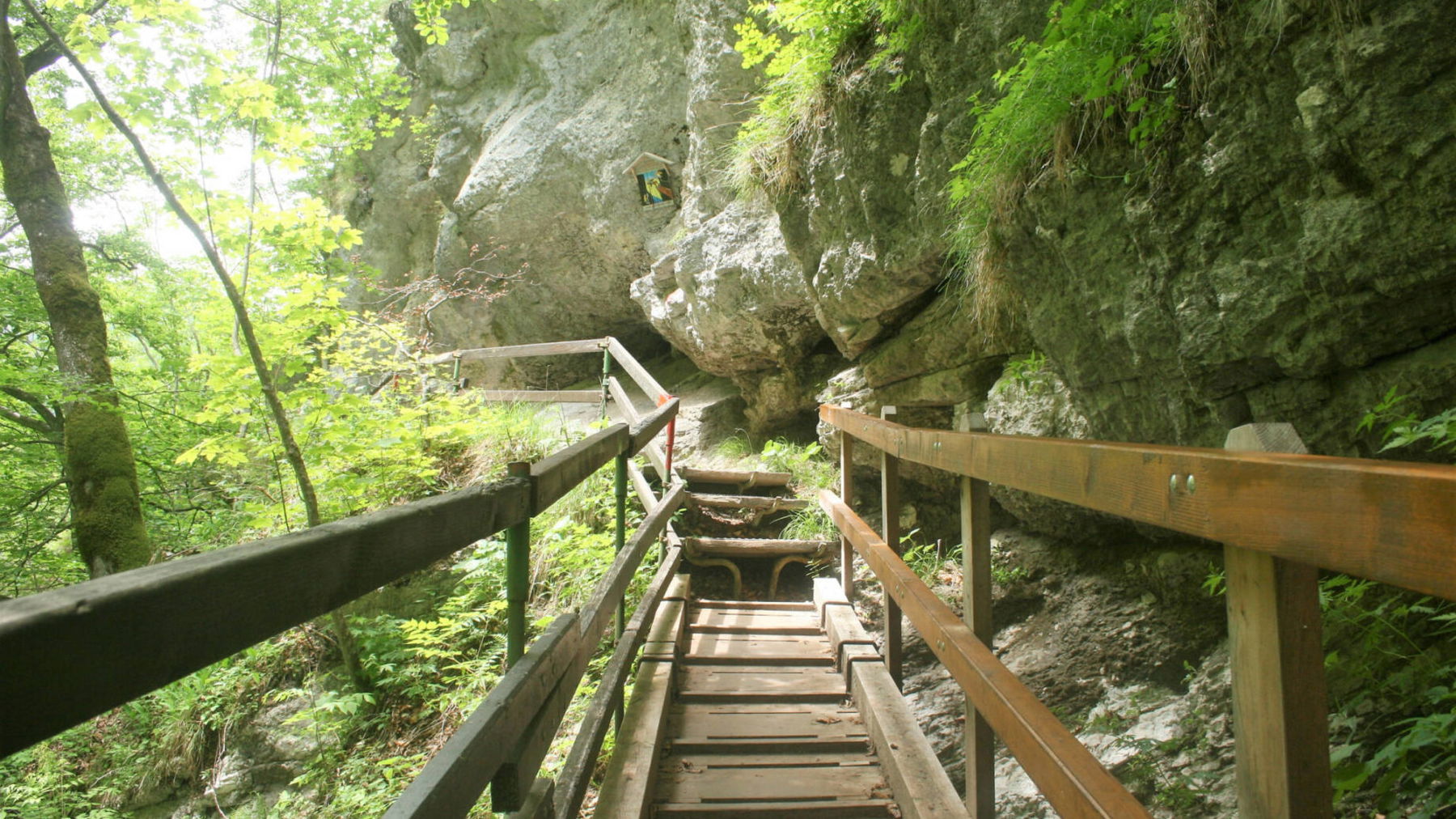 Tscheppaschlucht