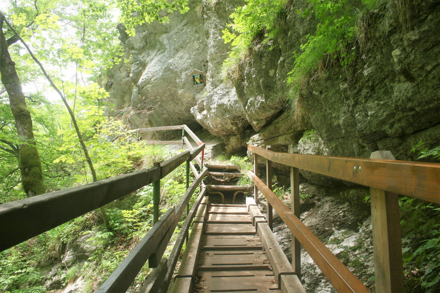 Wanderung durch die Tscheppaschlucht