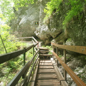 Wanderung durch die Tscheppaschlucht