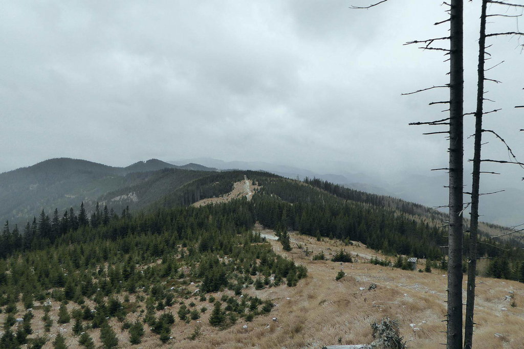 Blick vom Tratenkogel den Kamm entlang zum Beeralplkogel und rechts dahinter, mit dem Einschnitt, die Große Scheibe.