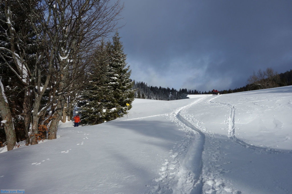 Wir zweigen ins ungespurte Gelände nach links ab.