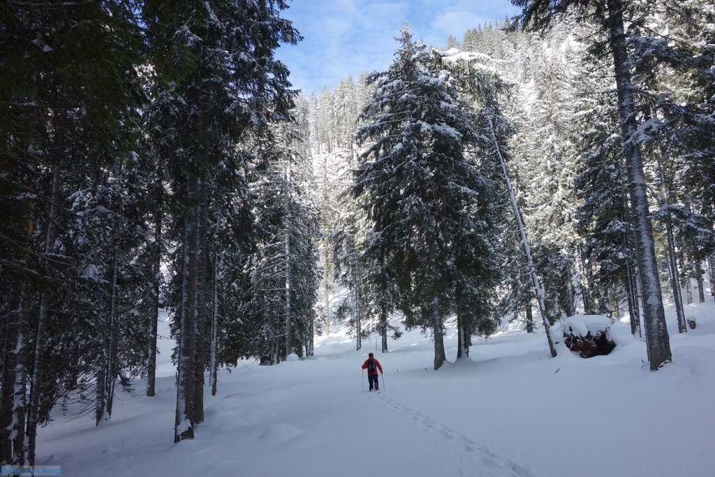 Noch am Forstweg vor dem Aufstieg zur Rosskesselspitze