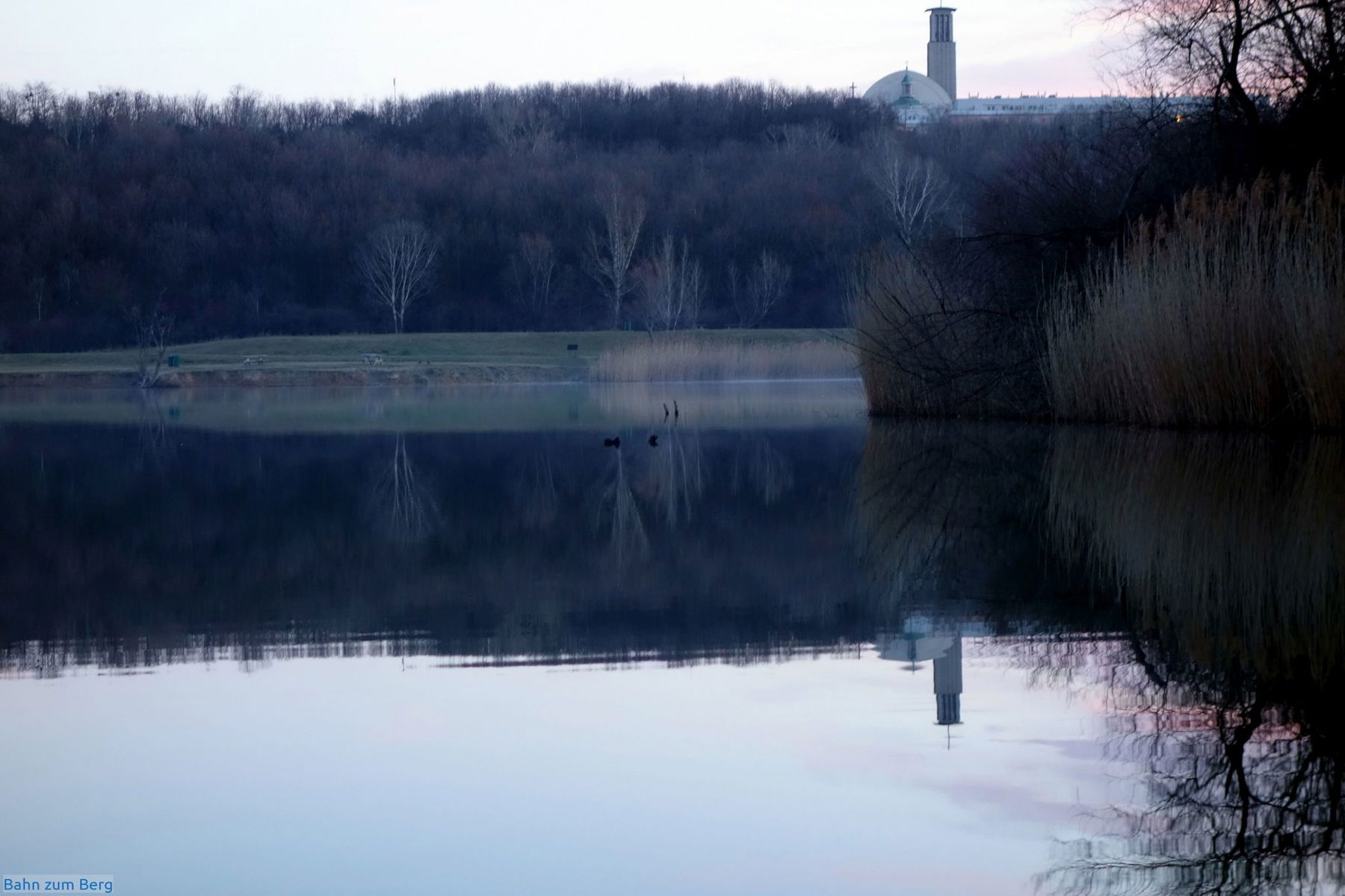 Morgenspaziergang am Wienerberg