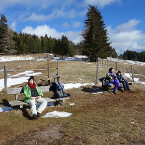 Frühlingssonne auf der Mamauwiese
