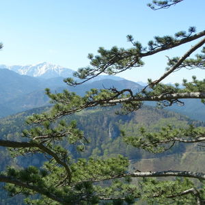 Über die Hohe Mandling nach Oed