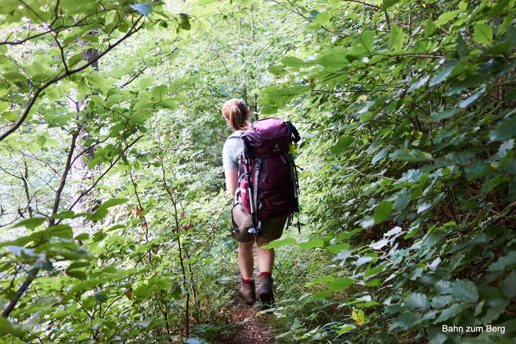 Der Weg vom Barbarakreuz zur Bushaltestelle Vordernberg Böhlerstraße wird nicht oft begangen.