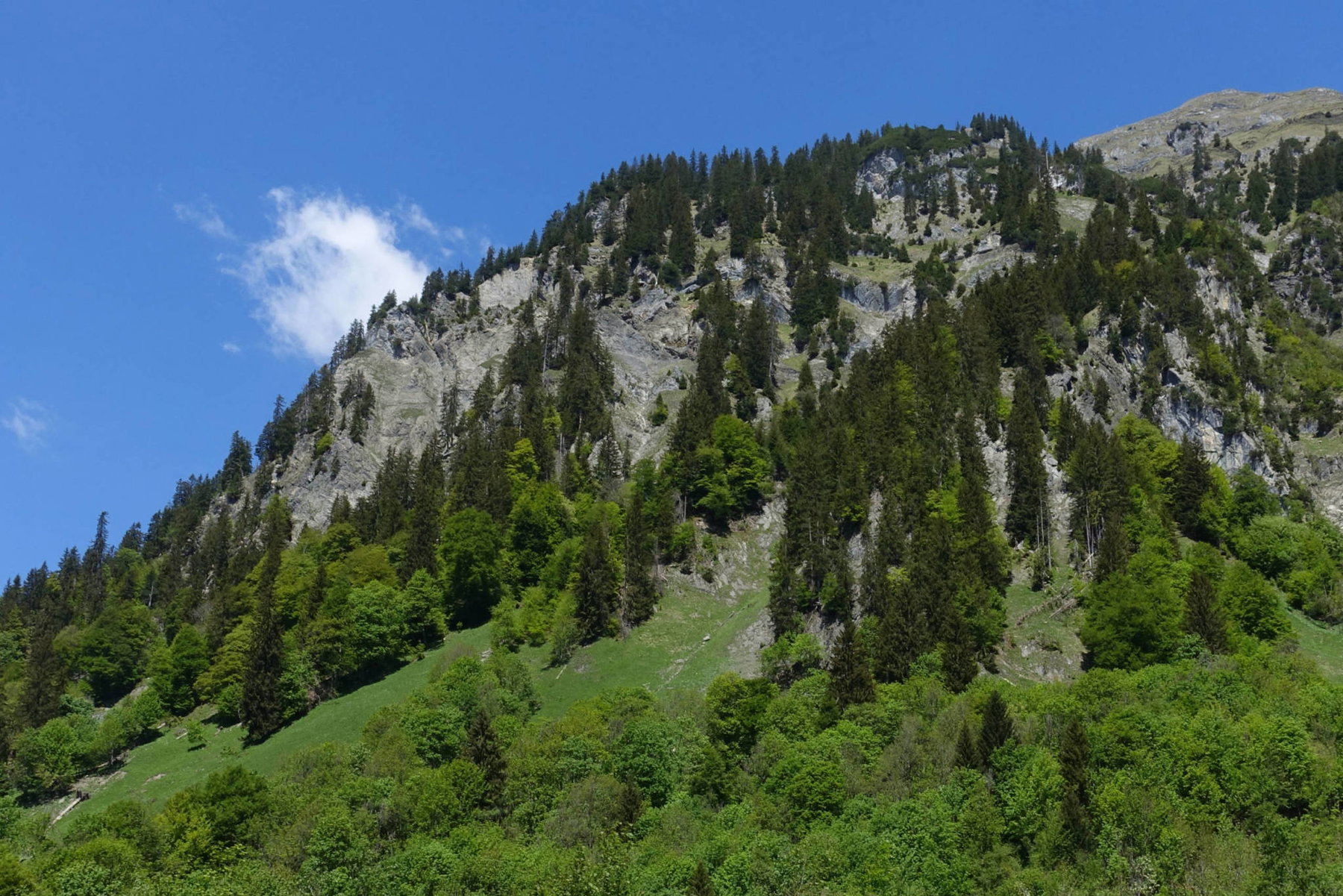 Blick zum Schnauzlberg, rechts oben die Blisadona (Foto: Peter Backé)