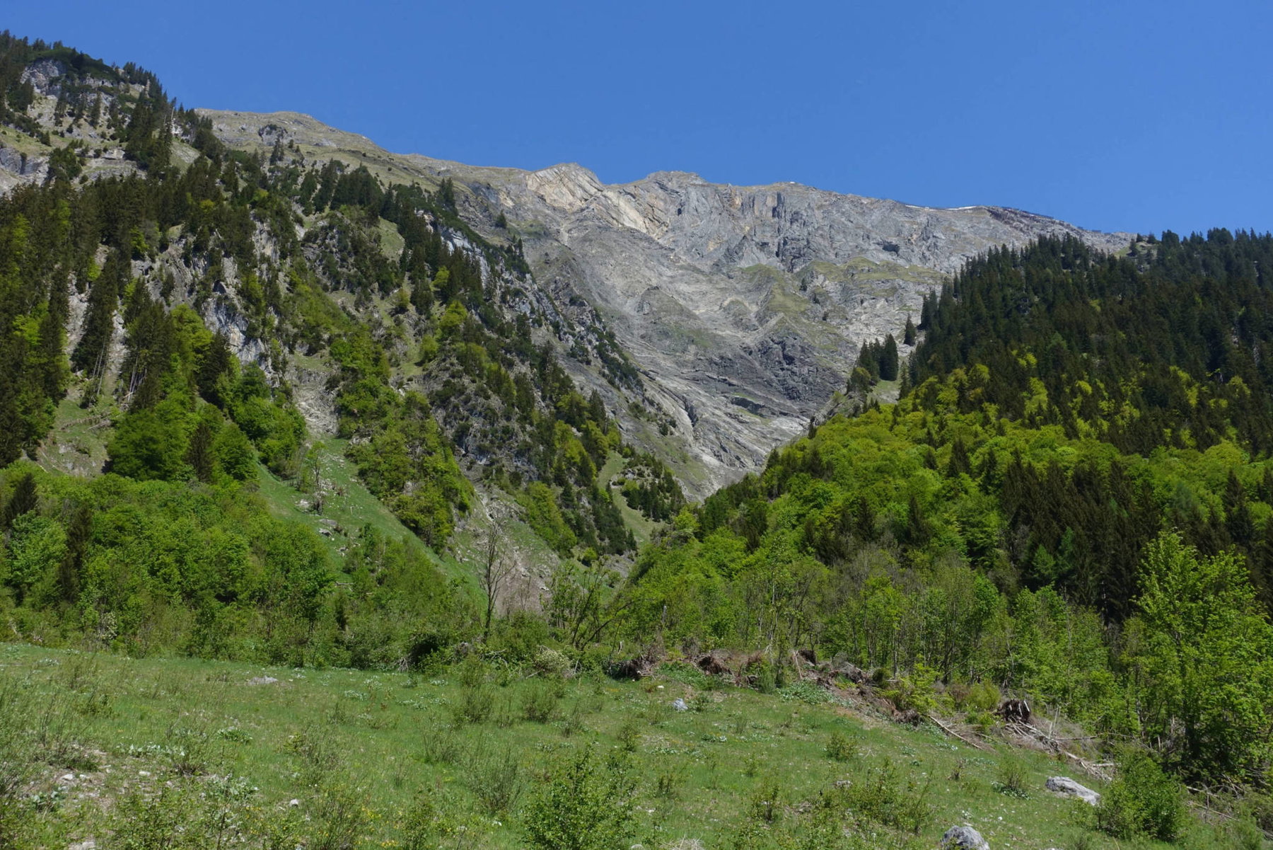 Ein erster Blick zum Blisadonakamm (Foto: Peter Backé)