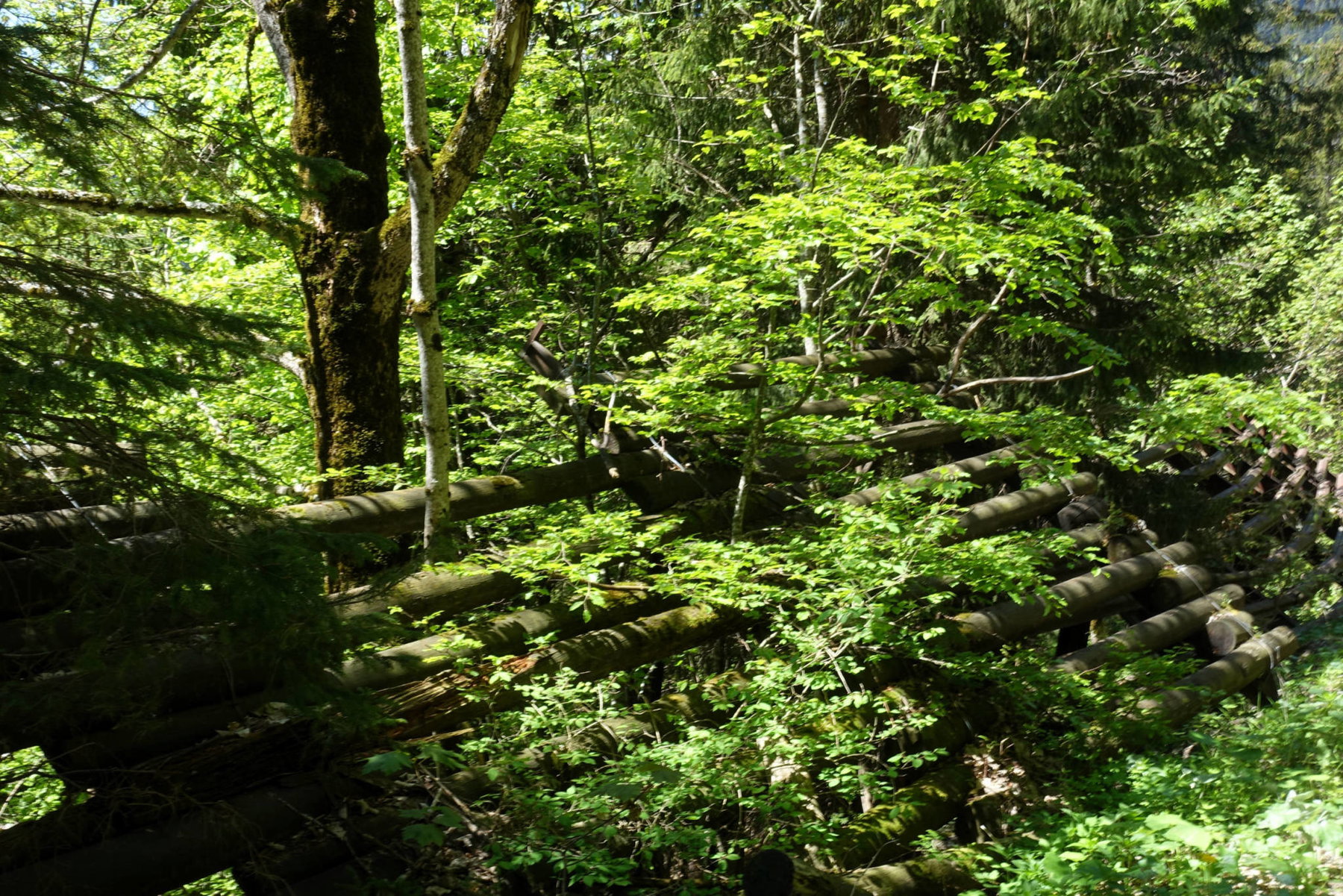 Lawinenschutz (Foto: Peter Backé)
