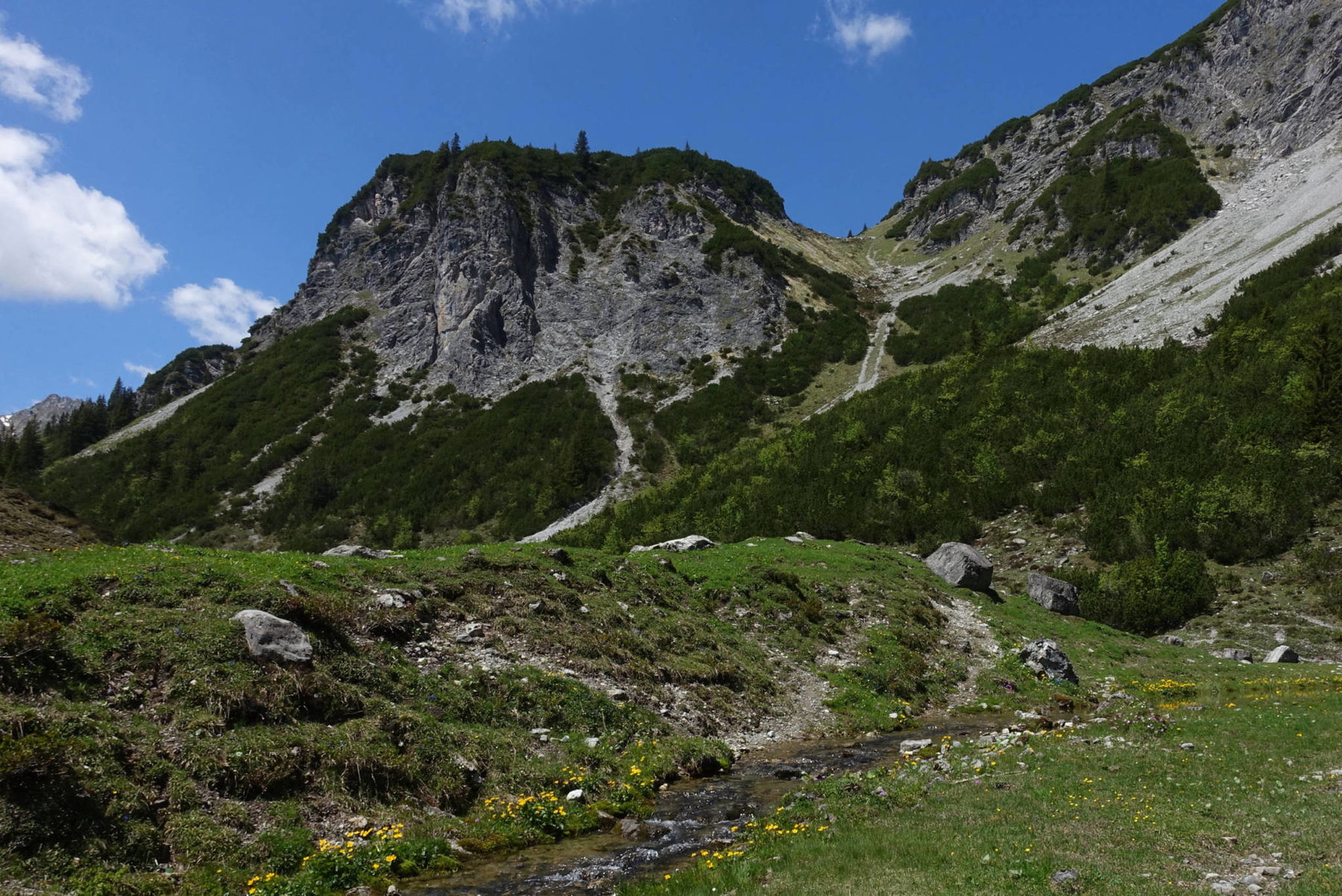 Im Bereich der Abzweigung Richtung Blisadona (Foto: Peter Backé)