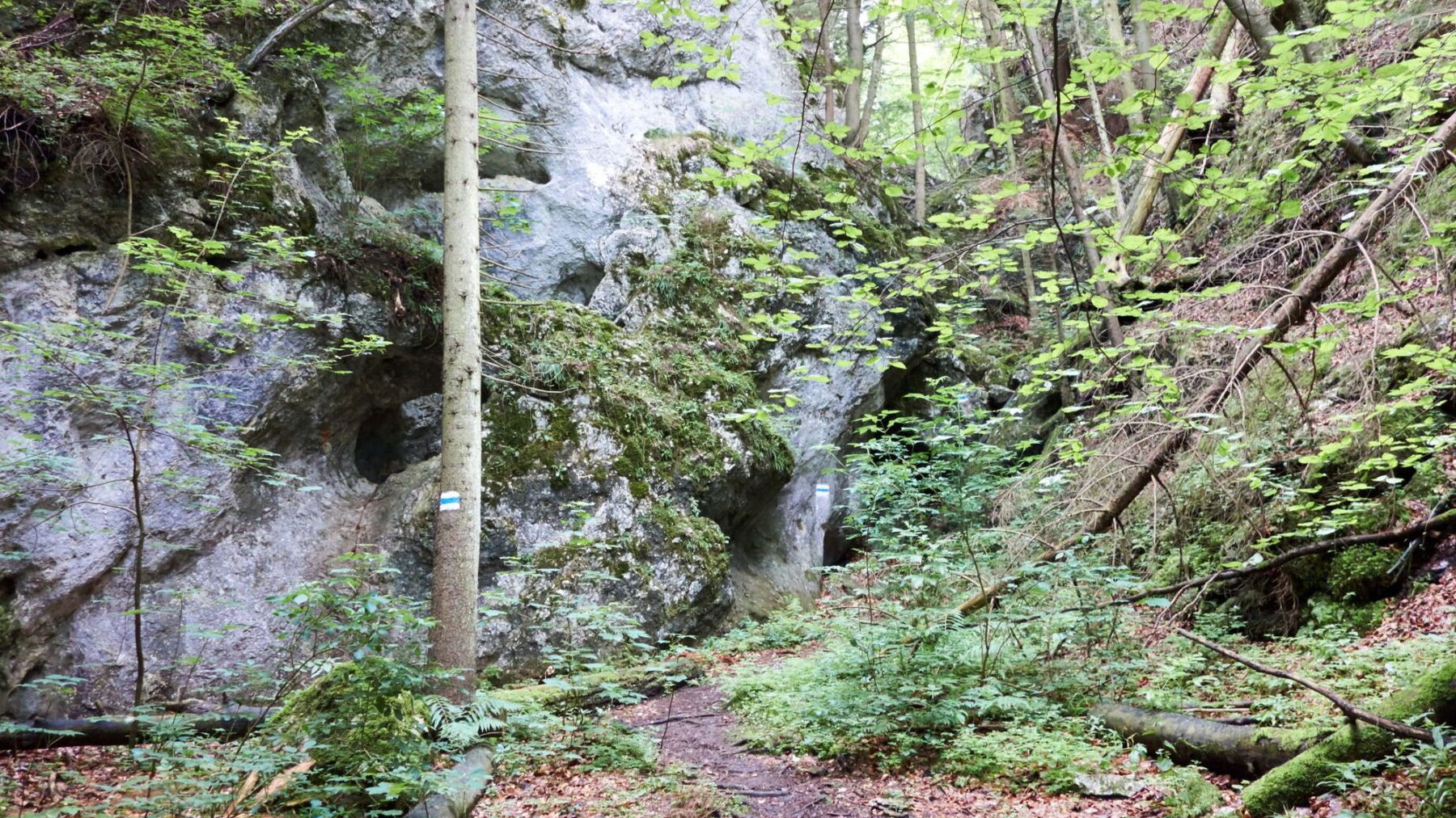 Große Klause auf der Hohen Wand