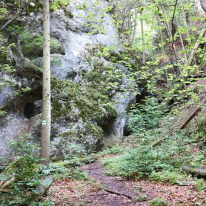 Überschreitung hintere Hohe Wand
