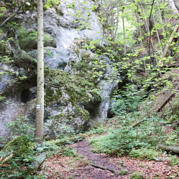 Große Klause auf der Hohen Wand
