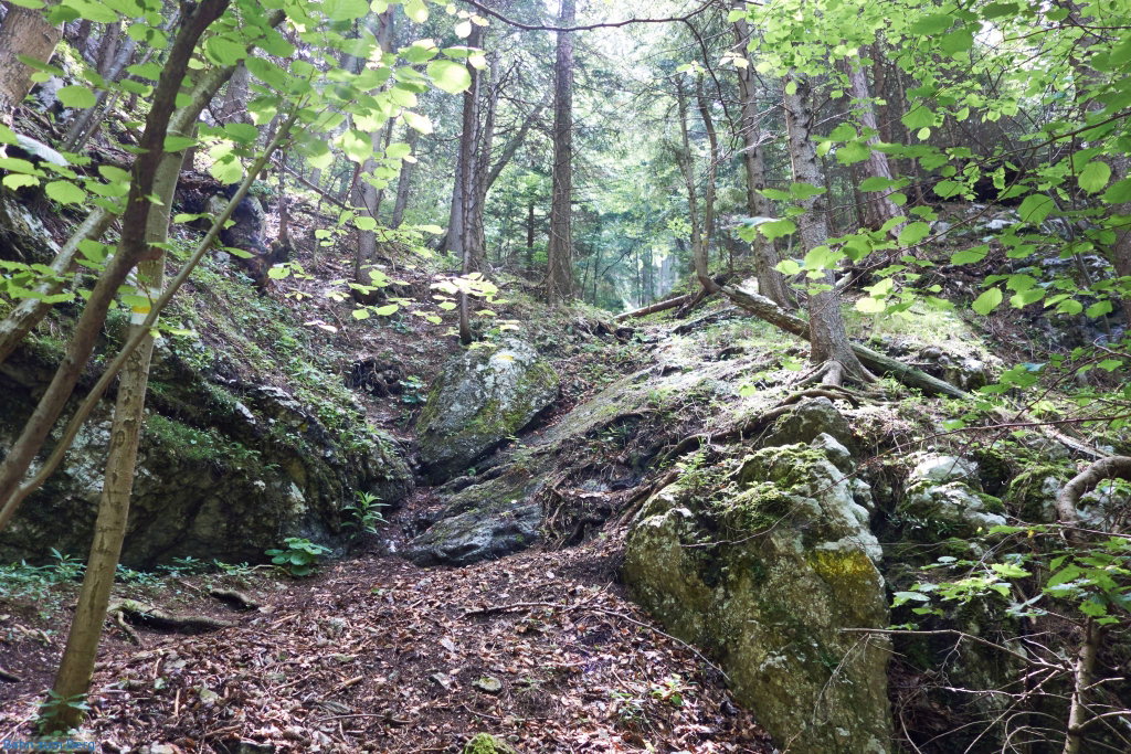 Gelb markierter Naturfreundesteig durch die wild romantische Kleine Klause.