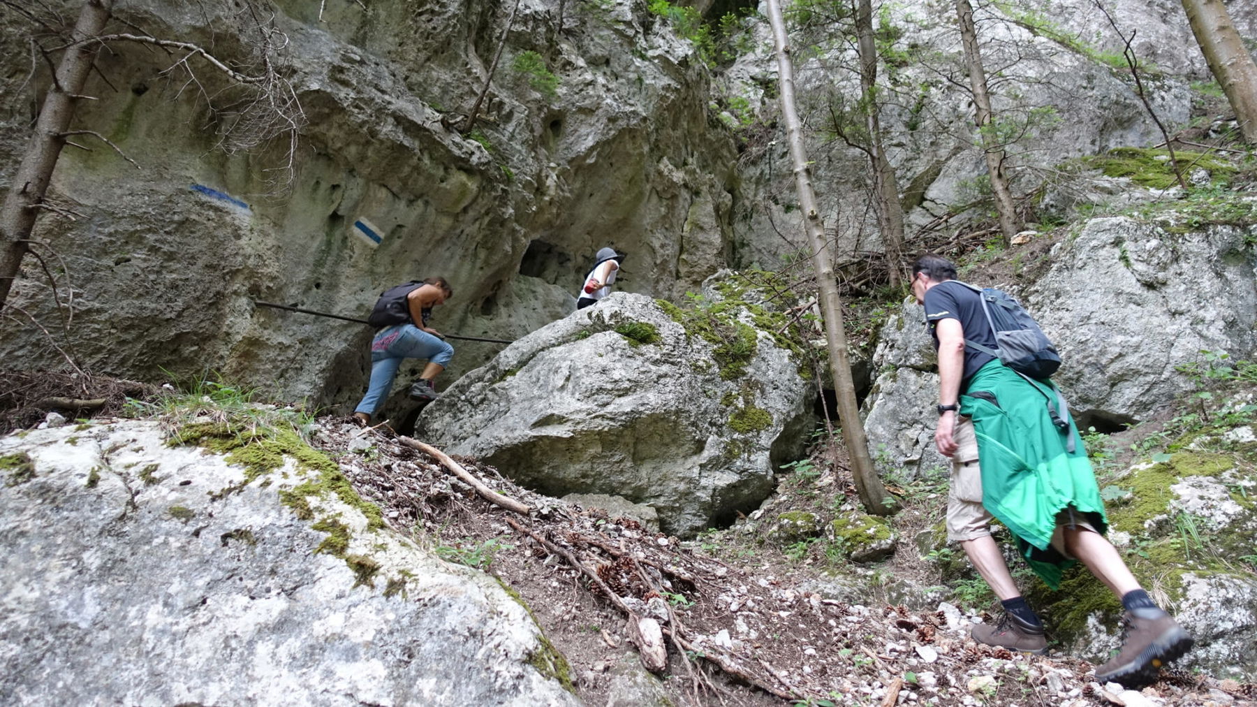 Waldeggersteig auf der Hinteren Hohen Wand