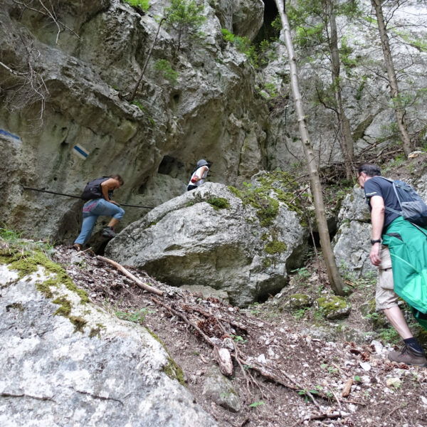 Waldeggersteig auf der Hinteren Hohen Wand