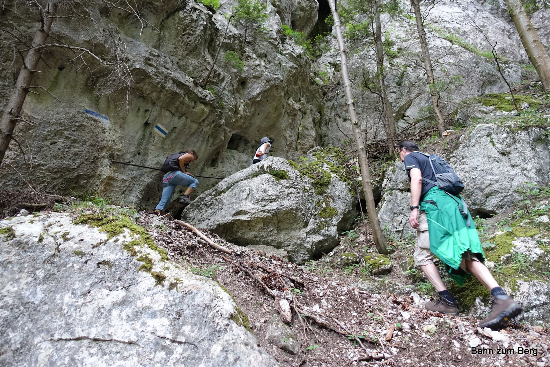 Waldeggersteig und Krumme Ries