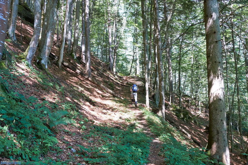 "Zustieg" über Mitterriegel