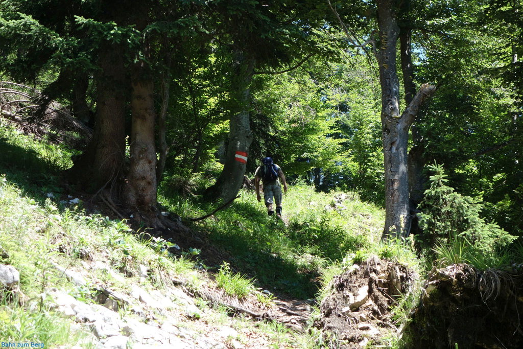 Steiler, aber beschatteter Aufstieg