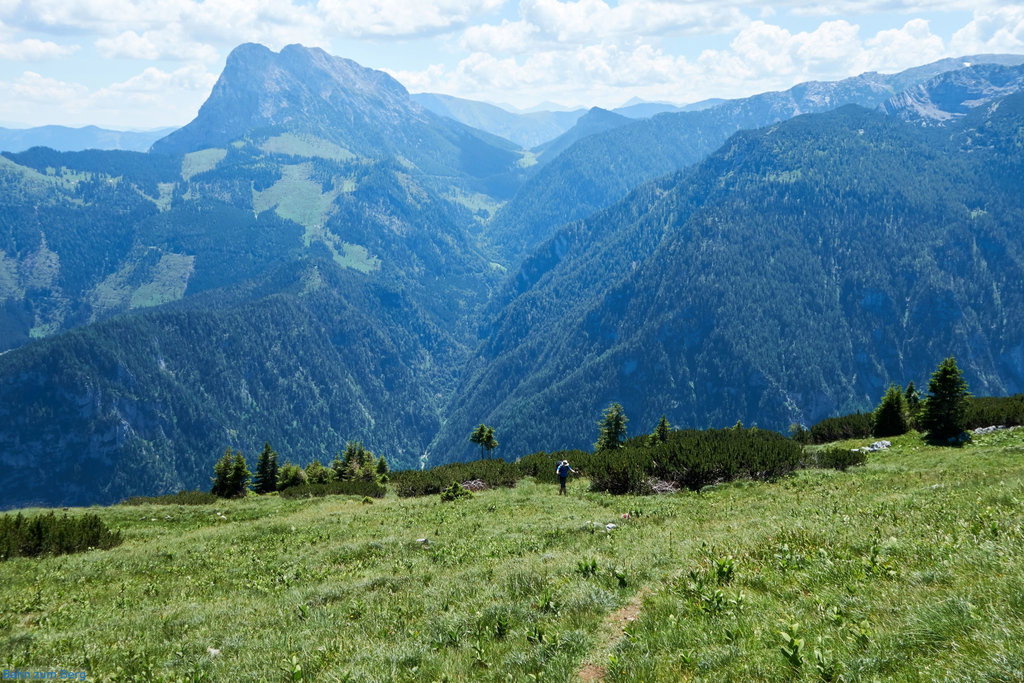 Blick hinunter: Ich komme gerade aus der Latschenzone heraus.
