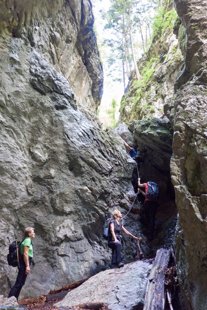 Versicherte Leiter / Kletterstück in der Weichtalklamm.