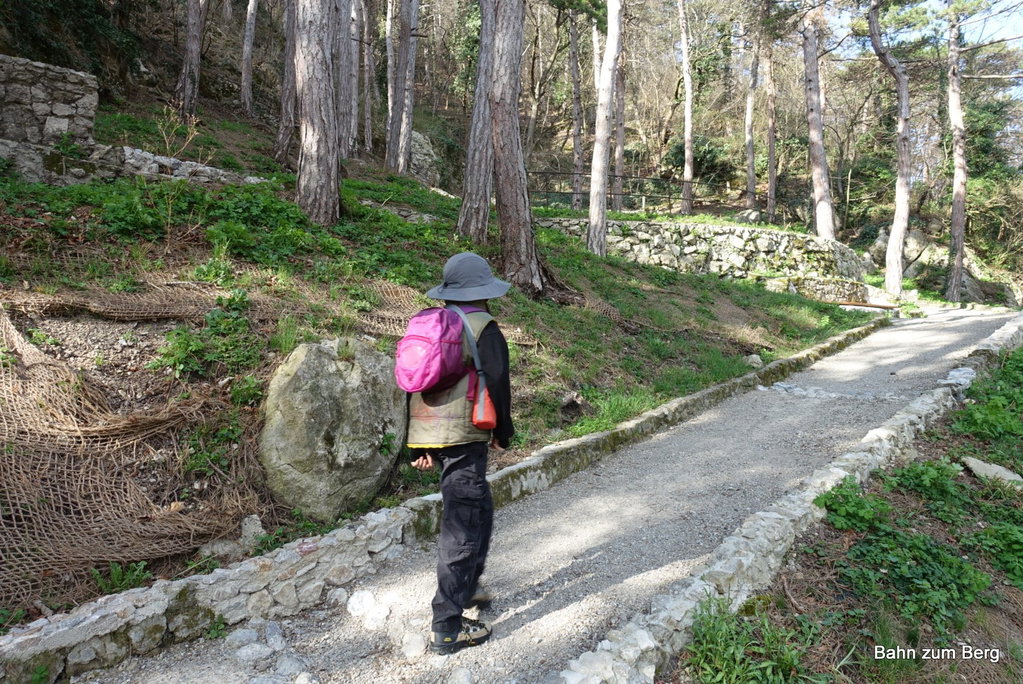 Die Goldene Stiege hinauf.