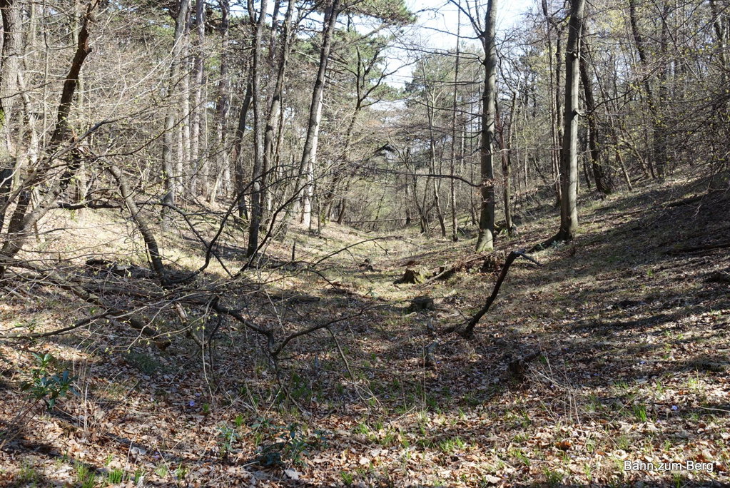 Querfeldein Route
