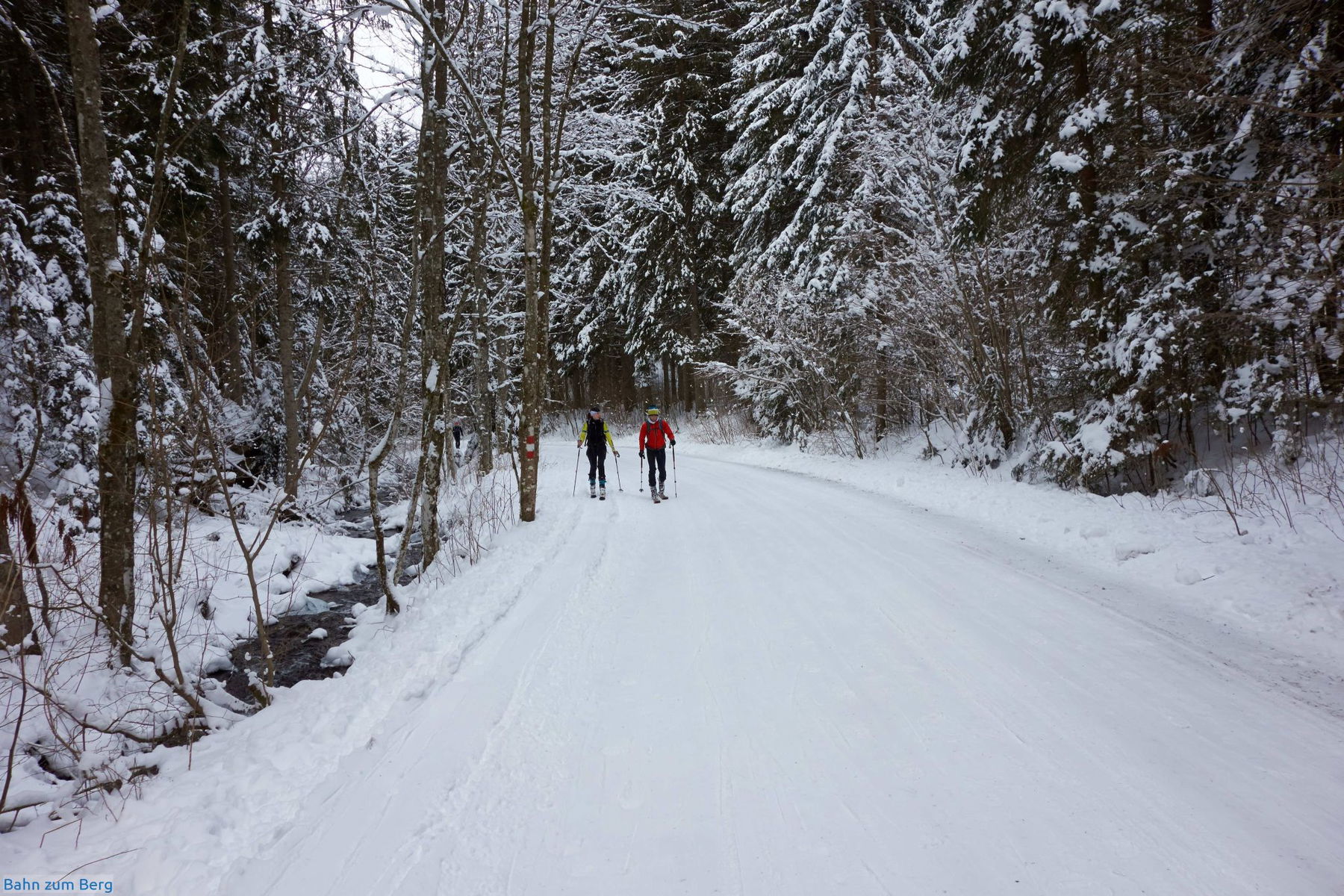 Aufstieg auf Forststraße im Kaltenbachgraben