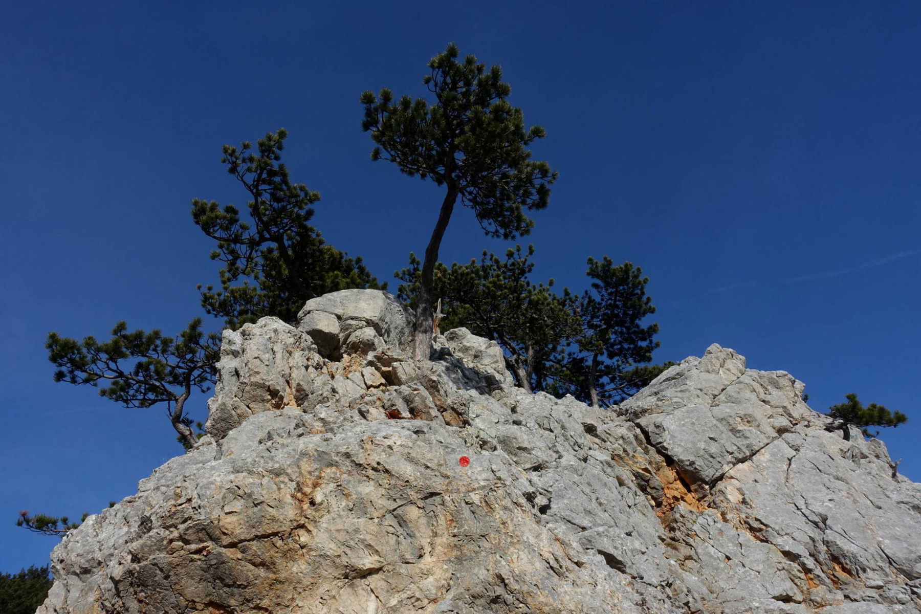 Leichte Kletterei auf der Hohen Wand