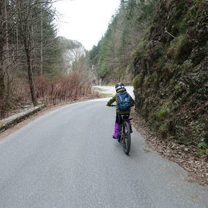 Runterrollen durch den Adlitzgraben