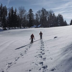 Hinteralm und Muckenkogel