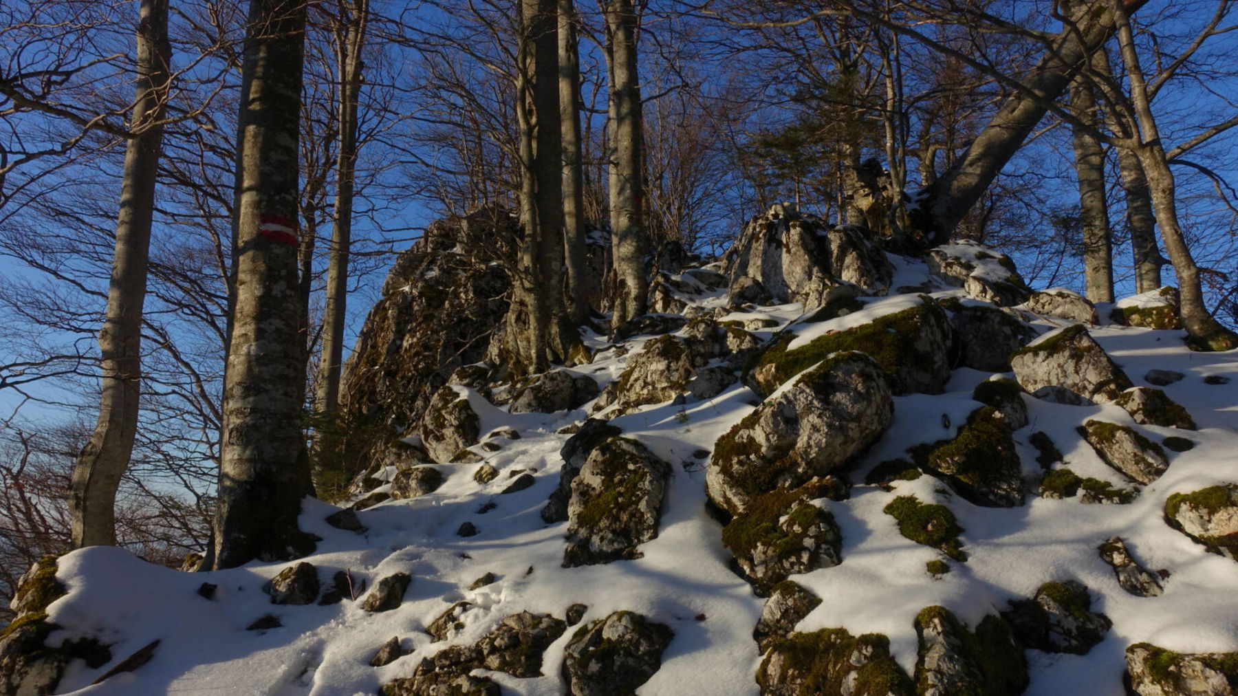 Gipfelbereich Falkenstein