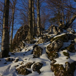 Rotmäuer und Falkenstein im unteren Ennstal