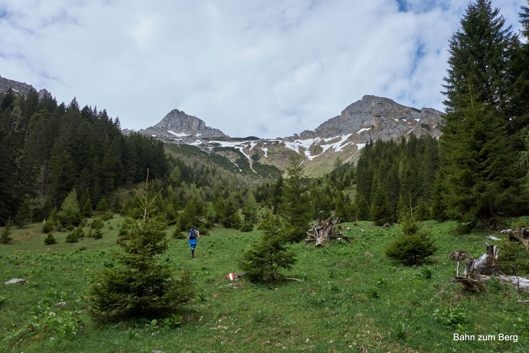 Ab der Schafferalm wird es dann auch steiler.