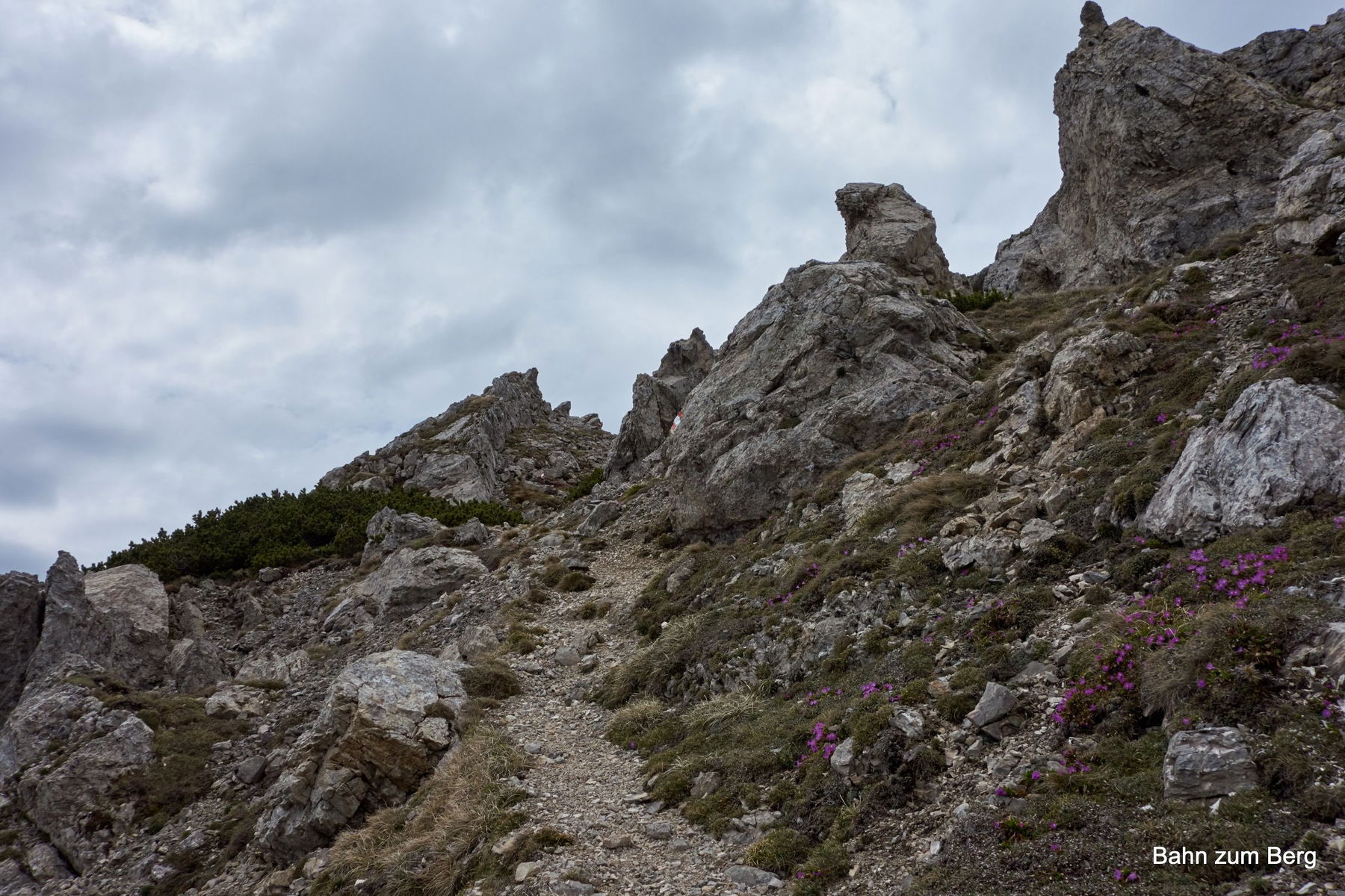 Letzter Aufstieg auf den Stadelstein.