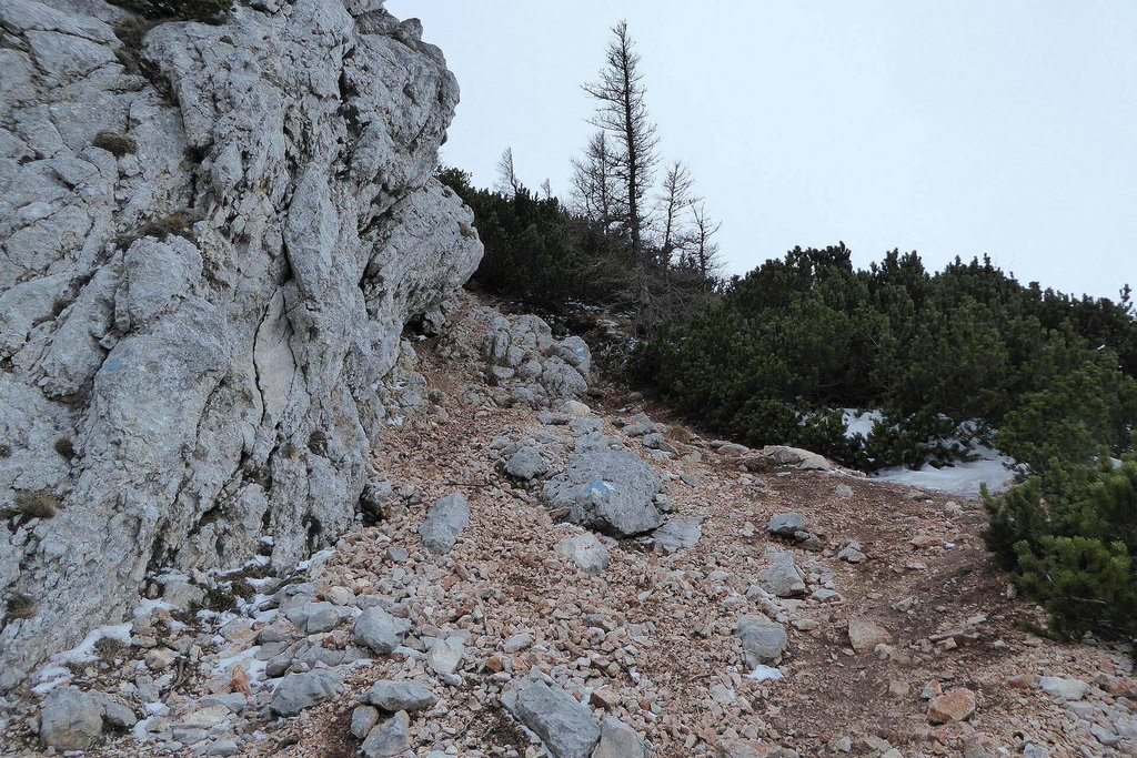 Auch am Nandlgrat gibt es solche schottrig-erdigen Passagen.