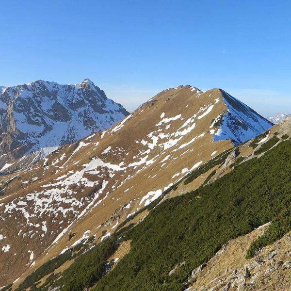Die Wanderung führt rechts den Kamm entlang bis unter den Eisenerzer Reichenstein (Bildmitte).