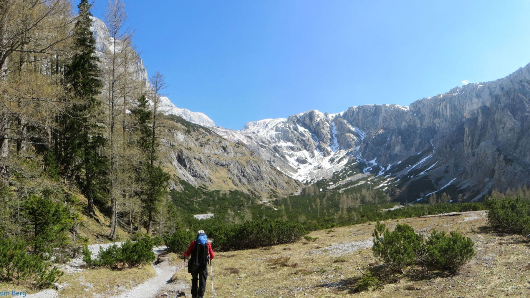 Trawiestal. © Didi T.