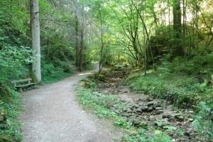 Weg in die Johannesbachklamm. © 2015 HM