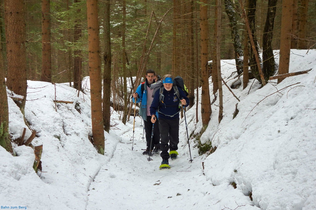Am Weg durch einen der vielen Hohlwege auf den Kreuzschober.