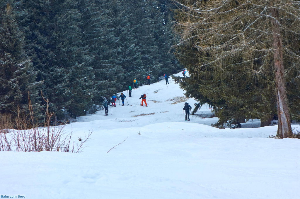 Das letzte Stück auf den Kaarl ist eine grössere Gruppe Schneeschuhwanderer vor uns.