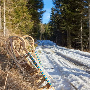Wandern & Rodeln am Rennfeld