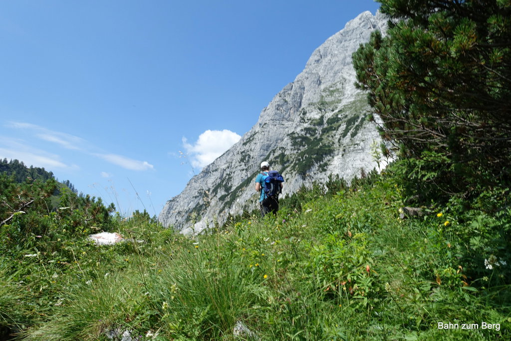 Almwanderung unter der Baumgrenze