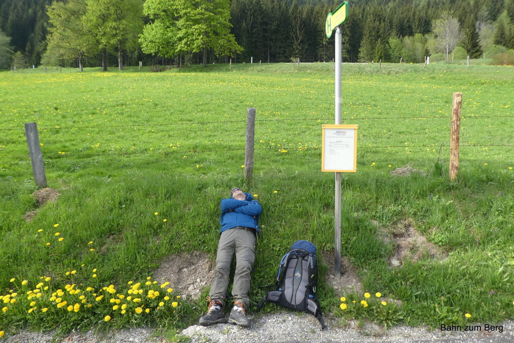 Bushaltestelle Aflenz Abzweigung Ort Foto: Didi T.