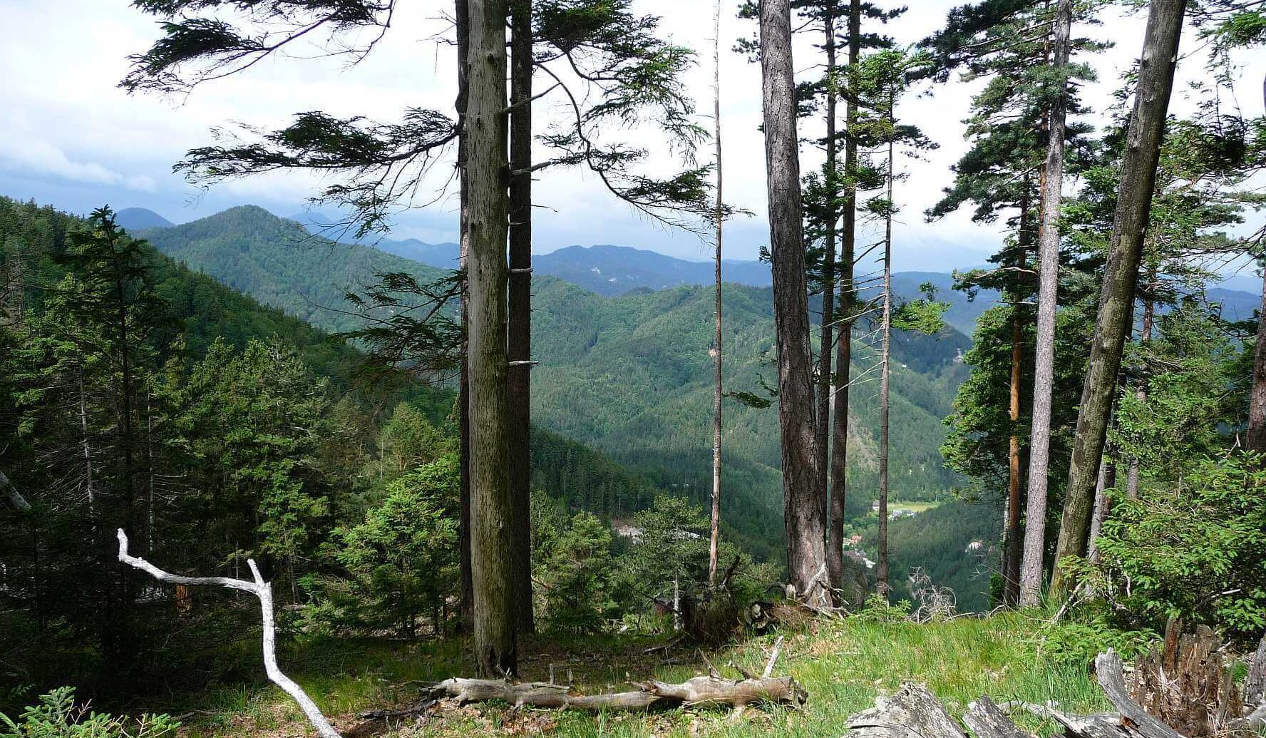 Zwischem Grossen Neukogel und Hohem Eck. &copy; 2015 MH