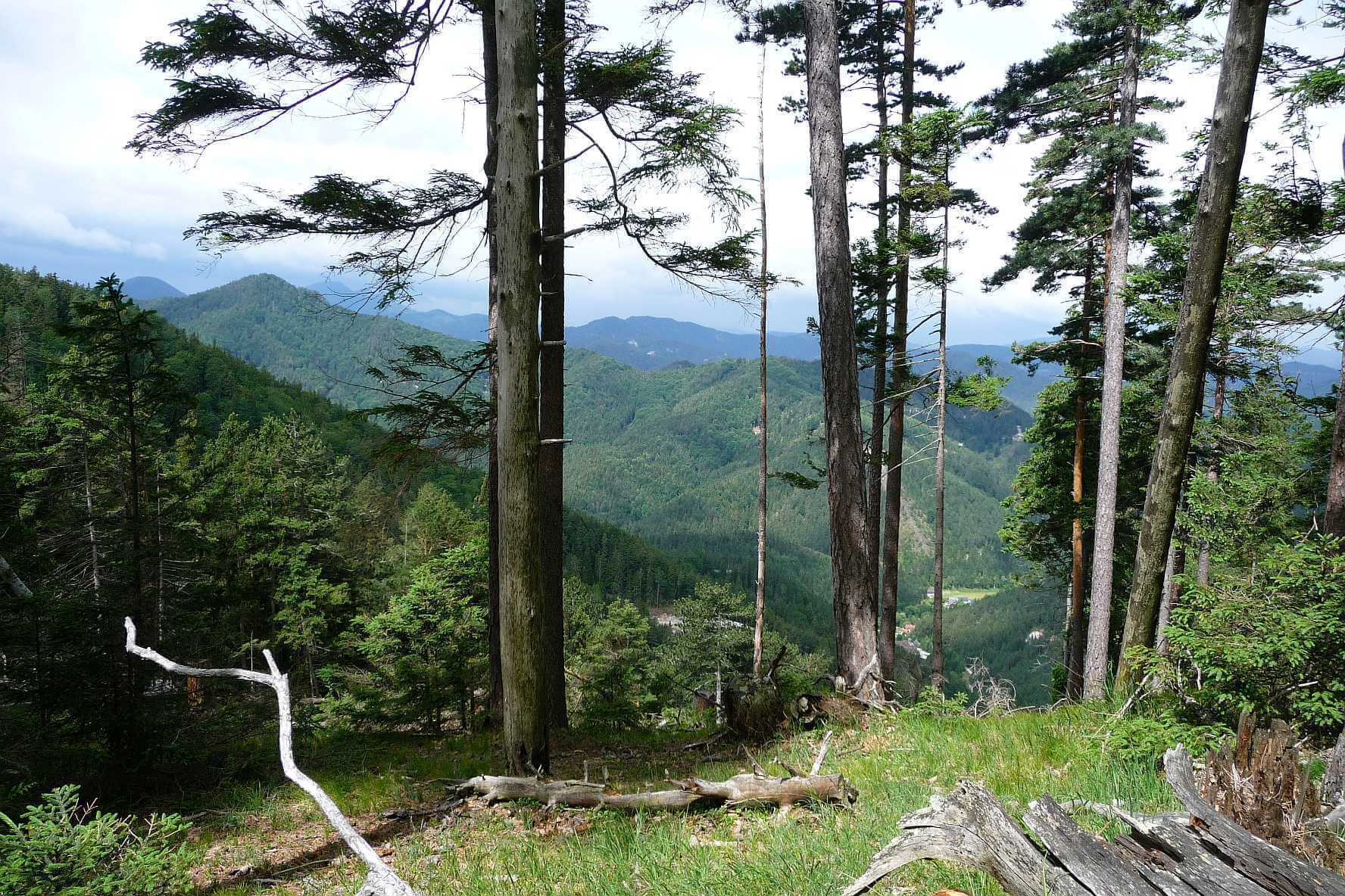 Zwischem Grossen Neukogel und Hohem Eck. &copy; 2015 MH